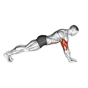 Push Up On Lower Arms demonstration animation