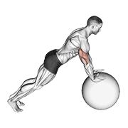 Push Up On Stability Ball demonstration animation