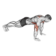 Push Up Plus demonstration animation