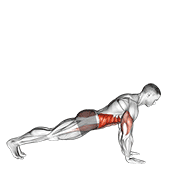 Push Up To Side Plank demonstration animation