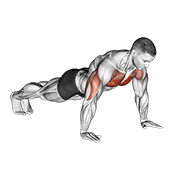 Pushup demonstration animation