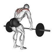 Rear Delt Row demonstration animation