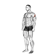 Rear Deltoid Stretch demonstration animation