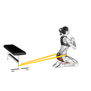 Resistance Band Hip Thrusts On Knees demonstration animation