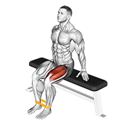 Resistance Band Leg Extension demonstration animation