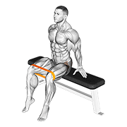 Resistance Band Seated Hip Abduction demonstration animation