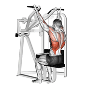 Reverse Grip Machine Lat Pulldown demonstration animation