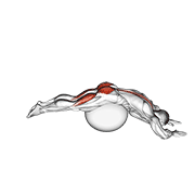 Reverse Hyper Extension On Stability Ball demonstration animation