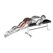 Reverse Hyper On Flat Bench demonstration animation