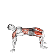 Reverse Plank With Leg Lift demonstration animation