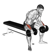 Reverse Wrist Curl demonstration animation