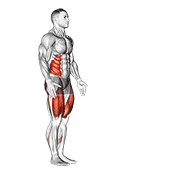 Revolved Lunge Pose demonstration animation