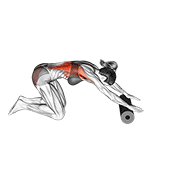 Roller Back Stretch demonstration animation