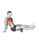 Roller Seated Shoulder Flexor Depresor Retractor demonstration animation