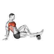 Roller Seated Single Leg Shoulder Flexor Depresor Retractor demonstration animation