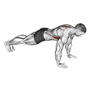 Scapula Pushup demonstration animation