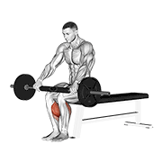 Seated Calf Raise demonstration animation
