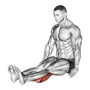 Seated Calf Stretch demonstration animation