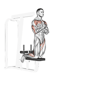 Self Assisted Inverse Leg Curl demonstration animation