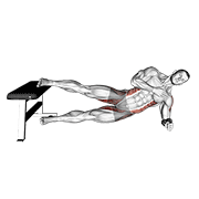 Side Plank Hip Adduction demonstration animation