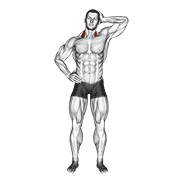 Side Push Neck Stretch demonstration animation