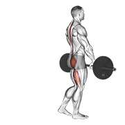 Single Leg Deadlift demonstration animation