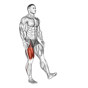 Single Leg Squat Pistol Male demonstration animation