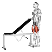 Sissy Squat demonstration animation