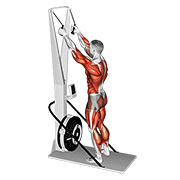 Ski Erg demonstration animation