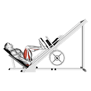 Sled 45 Leg Press Side Pov demonstration animation