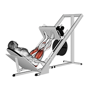 Sled 45 Leg Press demonstration animation