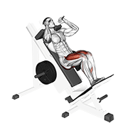 Sled Closer Hack Squat demonstration animation