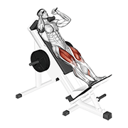 Sled Hack Squat demonstration animation