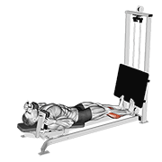 Sled Lying Calf Press demonstration animation