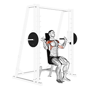Smith Machine Shoulder Press demonstration animation