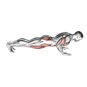Spider Crawl Push Up demonstration animation