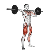 Squat Jerk demonstration animation