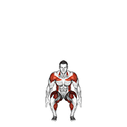 Squat To Overhead Reach With Twist demonstration animation