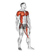 Standing Archer demonstration animation