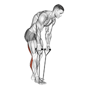 Standing Hamstring And Calf Stretch With Strap demonstration animation