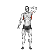 Standing Lateral Stretch demonstration animation