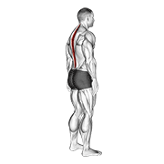 Standing Pelvic Tilt demonstration animation