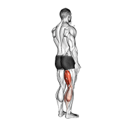 Standing Single Leg Curl demonstration animation