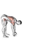 Standing Wheel Rollerout demonstration animation