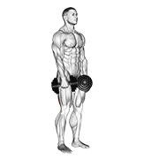 Stiff Leg Deadlift demonstration animation
