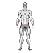 Straight Leg Outer Hip Abductor demonstration animation