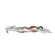 Superman Pushup demonstration animation
