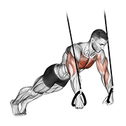 Suspended Push Up demonstration animation