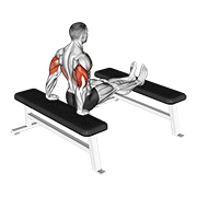 Triceps Dip Bench Leg demonstration animation