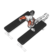 Triceps Dip Between Benches demonstration animation
